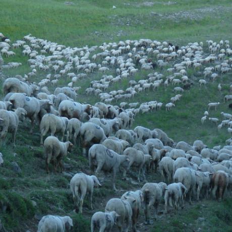 Montée Col de la Pare