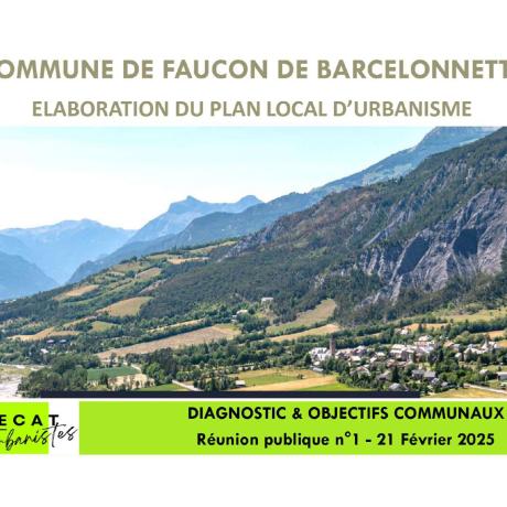 Elaboration du plan local d'urbanisme