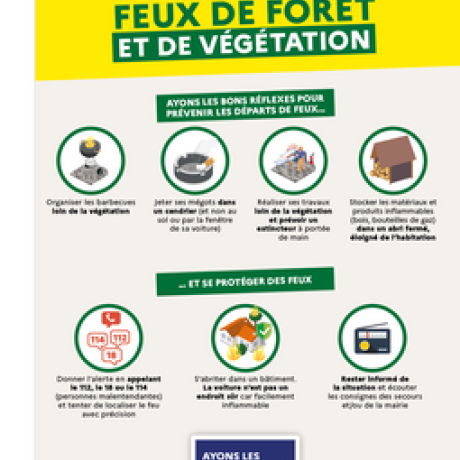 Feux de forêts Feux de forêt