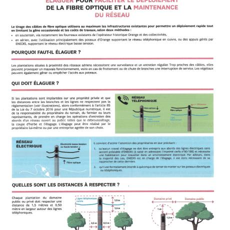 L'élagage l'élagage