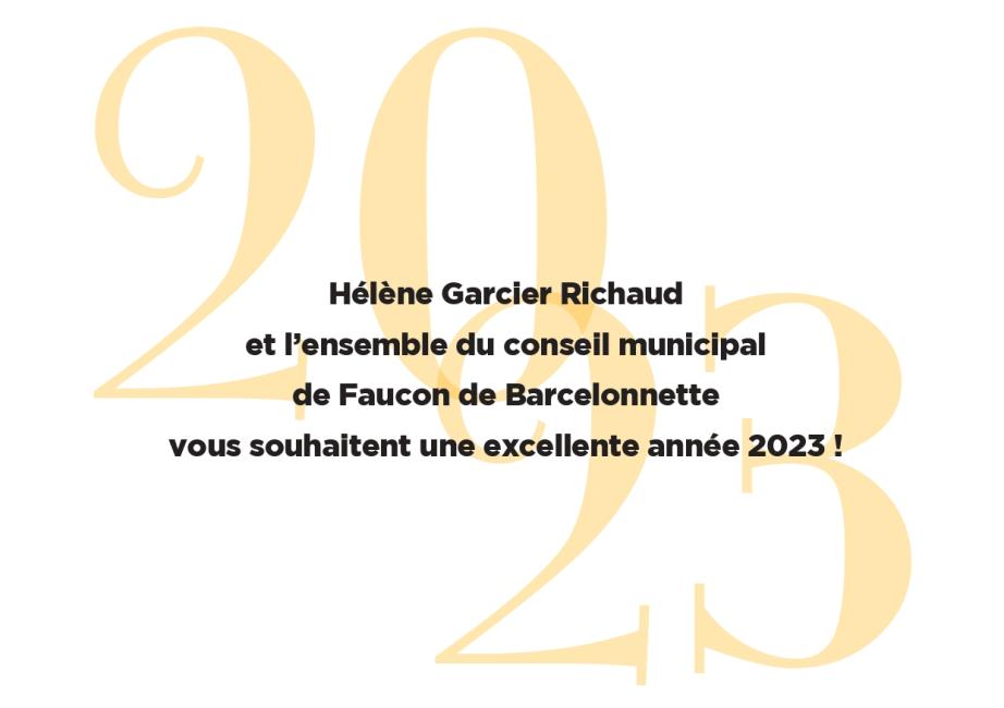 Vœux Faucon 2023